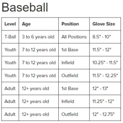 BB GLOVE SR RAWLINGS REV 205-9X 11.75" RHT BS22 -Gloves shop 2887cfacc2661d8503a451b0ebf7bfef