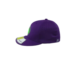 Kelly's Ultimate Sports Worth Hat By Richardson (PTS30) All Purple/Neon Green -Gloves shop hat wor rich ppl grn 2